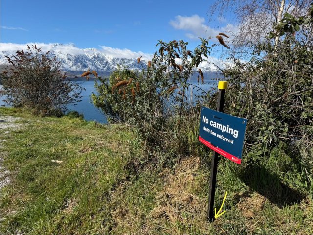 Hand-painted penguin stone #1607 hidden at Gilly's Point, Queenstown, New Zealand (photo 4 of 5)