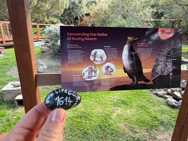 Hand-painted penguin stone #1614 hidden at Oamaru Penguins, Oamaru, New Zealand (photo 2 of 5)