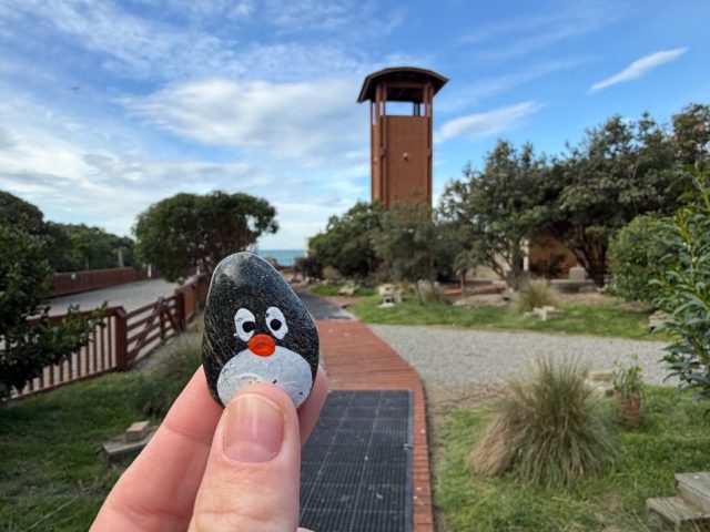 Hand-painted penguin stone #1614 hidden at Oamaru Penguins, Oamaru, New Zealand (photo 3 of 5)