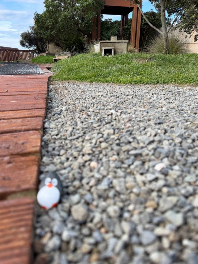 Hand-painted penguin stone #1614 hidden at Oamaru Penguins, Oamaru, New Zealand (photo 4 of 5)