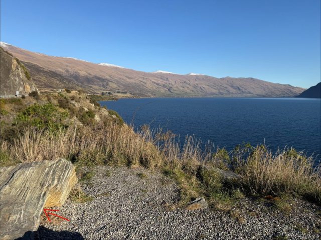 Hand-painted penguin stone #2167 hidden at Devil's Staircase Lookout Point, Lake Wakatipu, New Zealand (photo 3 of 5)