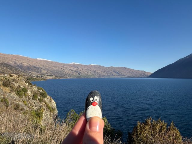 Hand-painted penguin stone #2167 hidden at Devil's Staircase Lookout Point, Lake Wakatipu, New Zealand
