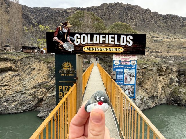 Hand-painted penguin stone #2176 hidden at Goldfields Mining Centre, Cromwell, New Zealand