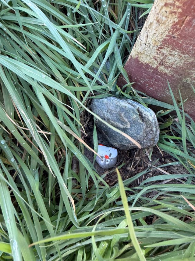 Hand-painted penguin stone #2315 hidden at Sunshine Bay Beach, Queenstown, New Zealand (photo 3 of 4)