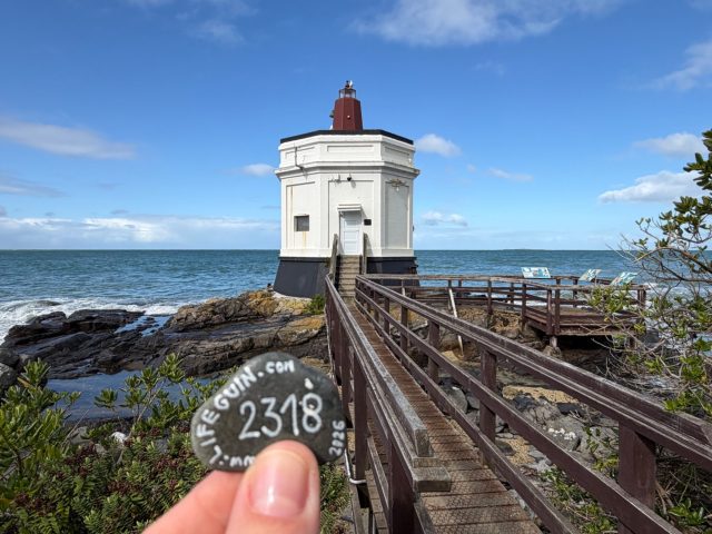 Hand-painted penguin stone #2318 hidden at Stirling Point Light Beacon Station, Invercargill City, New Zealand (photo 2 of 4)