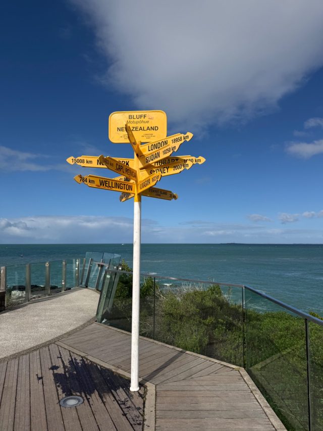 Hand-painted penguin stone #2318 hidden at Stirling Point Light Beacon Station, Invercargill City, New Zealand (photo 4 of 4)