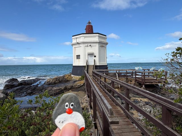 Hand-painted penguin stone #2318 hidden at Stirling Point Light Beacon Station, Invercargill City, New Zealand