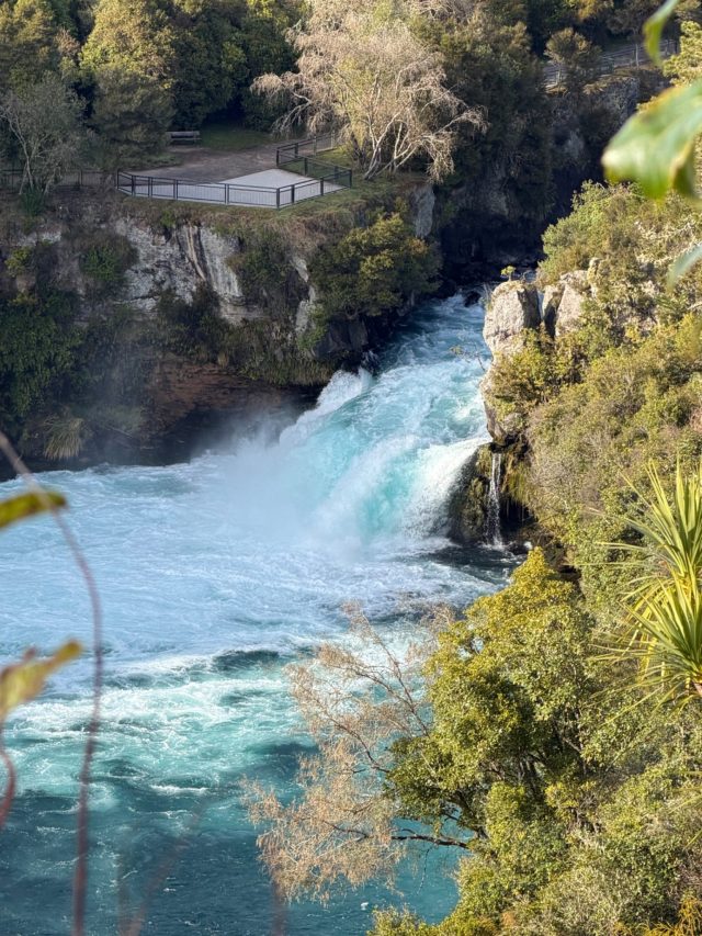 Hand-painted penguin stone #2320 hidden at Huka Falls, Taipo, New Zealand (photo 5 of 5)