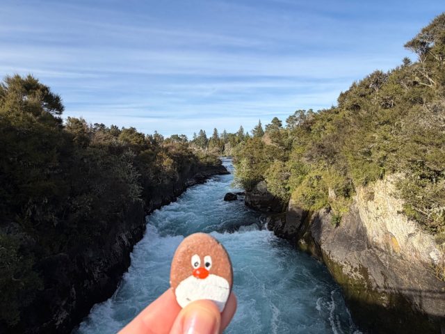 Hand-painted penguin stone #2320 hidden at Huka Falls, Taipo, New Zealand