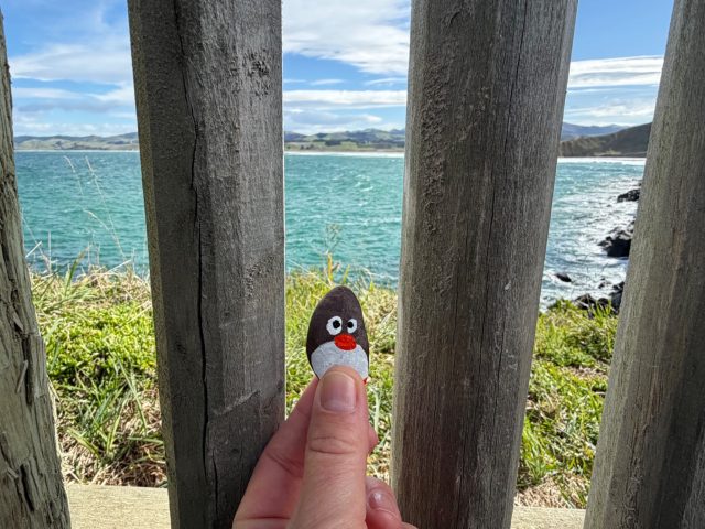 Hand-painted penguin stone #2321 hidden at Katiki Point, Katiki Point, New Zealand (photo 3 of 5)