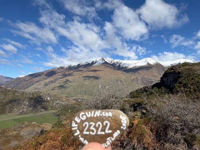 Hand-painted penguin stone #2322 hidden at Rocky Mountain Lake Wanaka Viewpoint, Wanaka, New Zealand (photo 2 of 4)