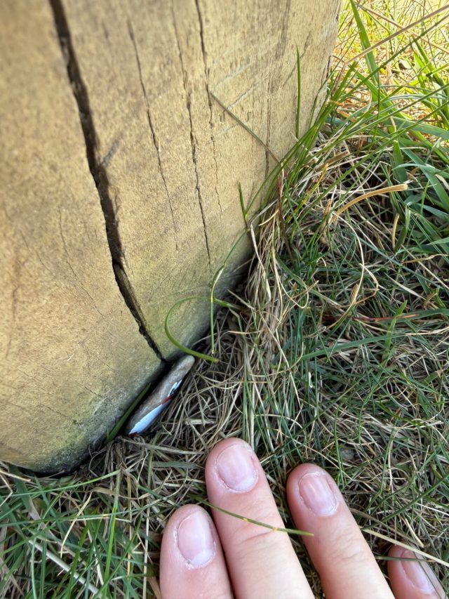 Hand-painted penguin stone #2322 hidden at Rocky Mountain Lake Wanaka Viewpoint, Wanaka, New Zealand (photo 3 of 4)