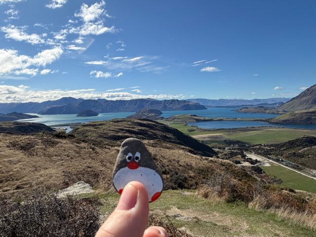 Hand-painted penguin stone #2322 hidden at Rocky Mountain Lake Wanaka Viewpoint, Wanaka, New Zealand