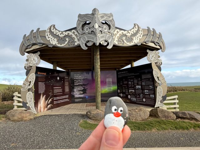 Hand-painted penguin stone #2324 hidden at Slope Point, Waihopai Toetoe Community, New Zealand