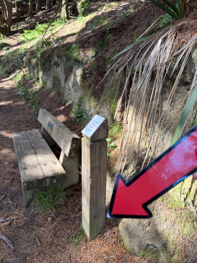 Hand-painted penguin stone #2325 hidden at Hobbit's Hideaway, Wellington, New Zealand (photo 5 of 5)