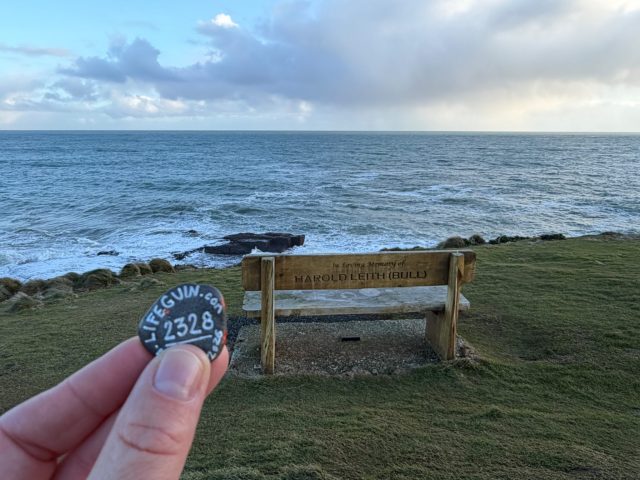 Hand-painted penguin stone #2328 hidden at The Headland, Curio Bay, New Zealand (photo 2 of 4)