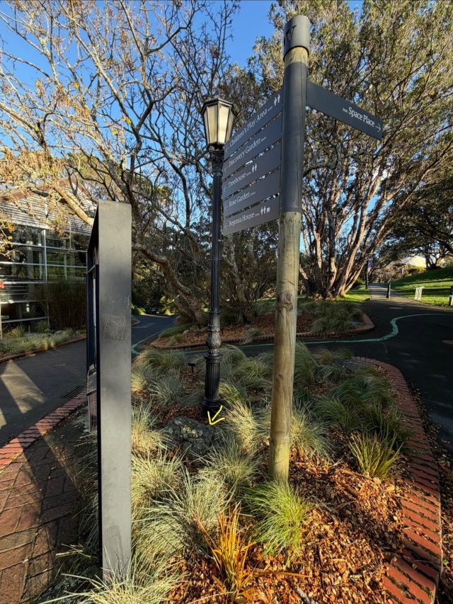 Hand-painted penguin stone #2330 hidden at Cable Car, Wellington, New Zealand (photo 4 of 5)