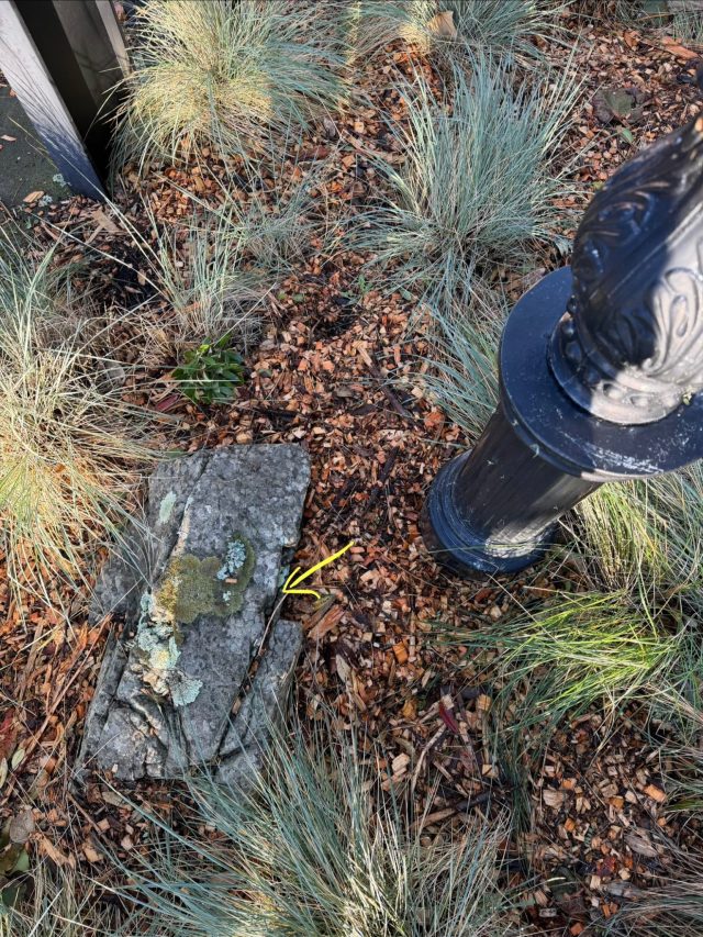 Hand-painted penguin stone #2330 hidden at Cable Car, Wellington, New Zealand (photo 5 of 5)