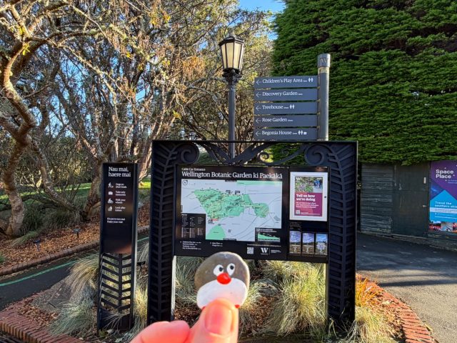 Hand-painted penguin stone #2330 hidden at Cable Car, Wellington, New Zealand