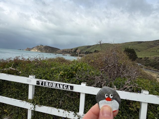 Hand-painted penguin stone #2331 hidden at Tirohanga Picnic Area, Tirohanga, New Zealand (photo 2 of 5)