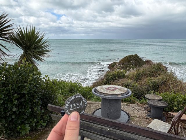 Hand-painted penguin stone #2331 hidden at Tirohanga Picnic Area, Tirohanga, New Zealand (photo 3 of 5)