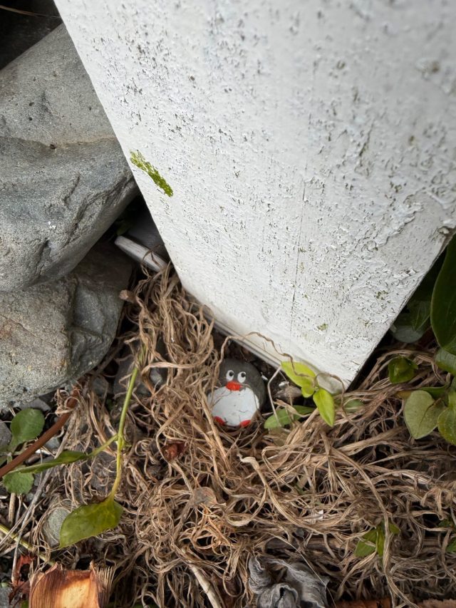 Hand-painted penguin stone #2331 hidden at Tirohanga Picnic Area, Tirohanga, New Zealand (photo 4 of 5)