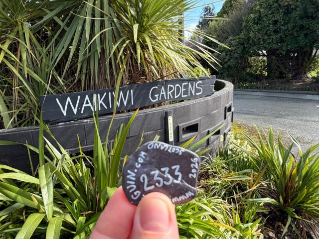 Hand-painted penguin stone #2333 hidden at Waikiki Gardens, Invercargill City, New Zealand (photo 2 of 4)