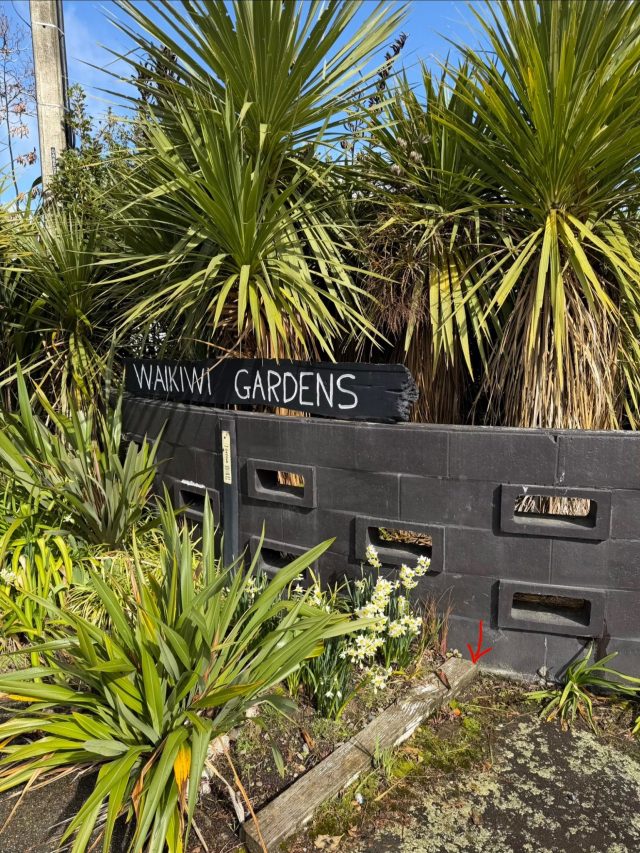 Hand-painted penguin stone #2333 hidden at Waikiki Gardens, Invercargill City, New Zealand (photo 4 of 4)