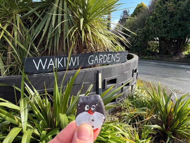 Hand-painted penguin stone #2333 hidden at Waikiki Gardens, Invercargill City, New Zealand