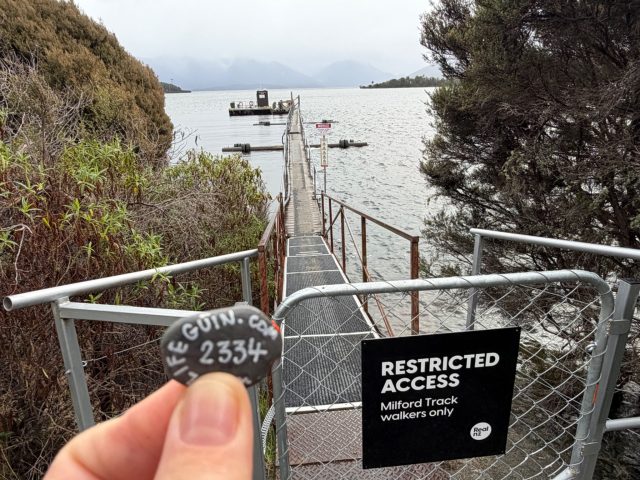 Hand-painted penguin stone #2334 hidden at Te Anau Downs Station, Fiordland Community, New Zealand (photo 2 of 4)