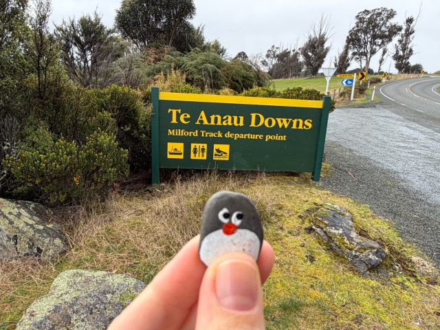 Hand-painted penguin stone #2334 hidden at Te Anau Downs Station, Fiordland Community, New Zealand