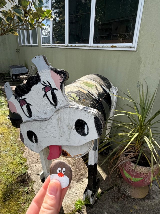 Hand-painted penguin stone #2337 hidden at Evansdale Cheese Factory, Hawksbury, New Zealand (photo 2 of 5)