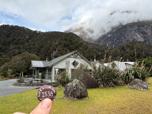 Hand-painted penguin stone #2338 hidden at Milford Sound, Fiordland Community, New Zealand (photo 2 of 5)