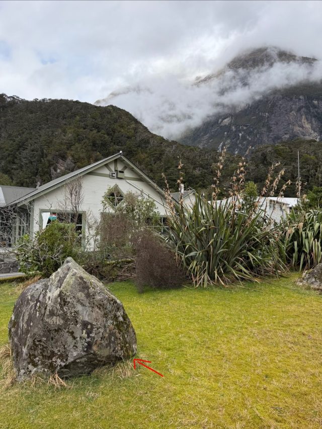 Hand-painted penguin stone #2338 hidden at Milford Sound, Fiordland Community, New Zealand (photo 4 of 5)