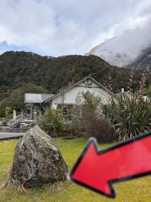 Hand-painted penguin stone #2338 hidden at Milford Sound, Fiordland Community, New Zealand (photo 5 of 5)