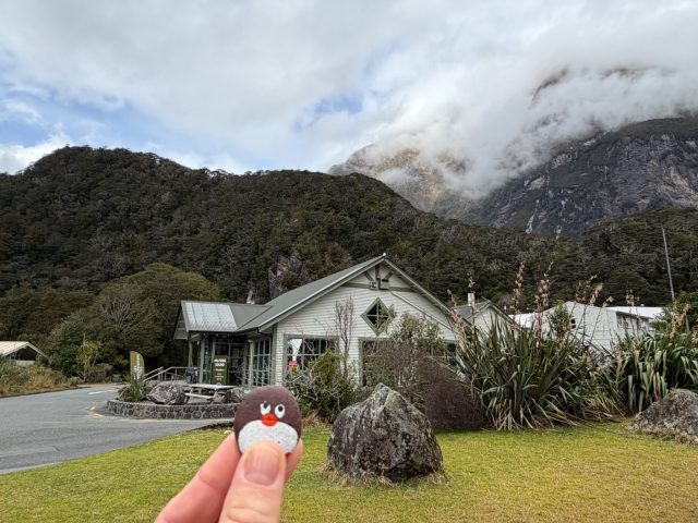Hand-painted penguin stone #2338 hidden at Milford Sound, Fiordland Community, New Zealand
