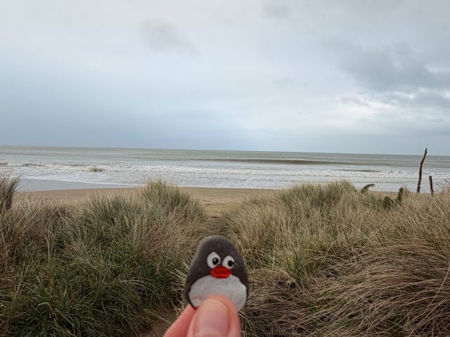 Hand-painted penguin stone #2341 hidden at Toilet and Changing Room, Kaka Point, New Zealand (photo 2 of 5)