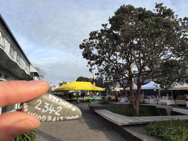 Hand-painted penguin stone #2342 hidden at Takapuna Beach Sunday Market, Devonport-Takapuna, Auckland, New Zealand (photo 2 of 5)