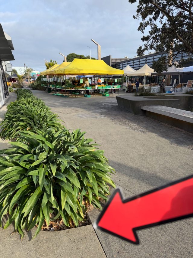 Hand-painted penguin stone #2342 hidden at Takapuna Beach Sunday Market, Devonport-Takapuna, Auckland, New Zealand (photo 4 of 5)