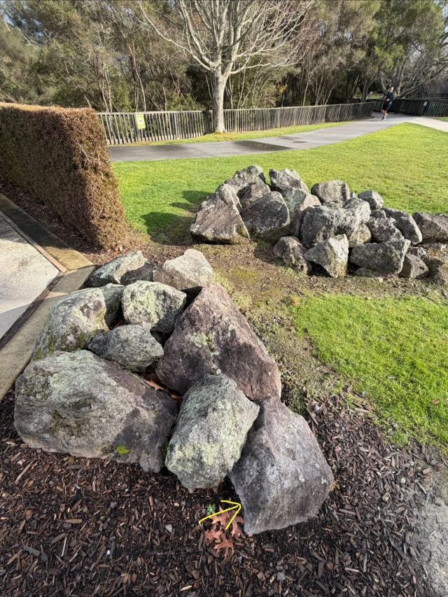 Hand-painted penguin stone #2343 hidden at Kuirau Park - Mud Pools, Rotorua, New Zealand (photo 4 of 4)