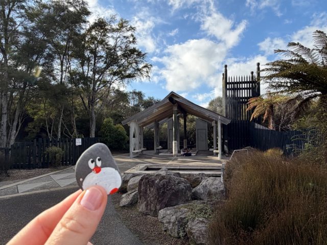 Hand-painted penguin stone #2343 hidden at Kuirau Park - Mud Pools, Rotorua, New Zealand