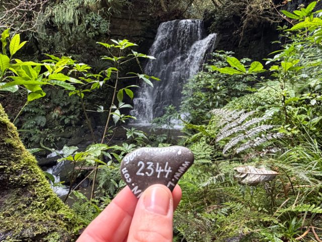 Hand-painted penguin stone #2344 hidden at Horseshoe Falls, Caberfeidh, New Zealand (photo 2 of 5)