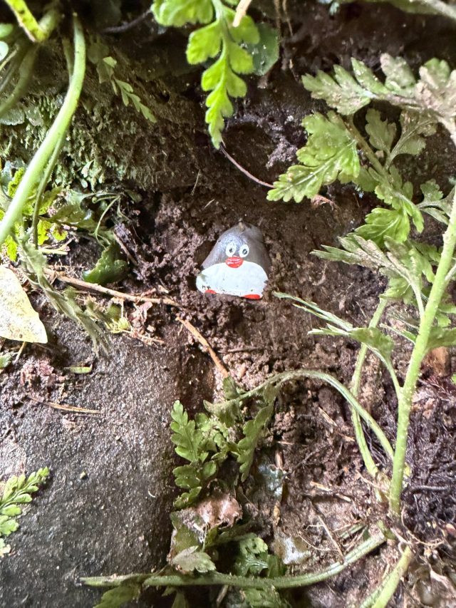 Hand-painted penguin stone #2344 hidden at Horseshoe Falls, Caberfeidh, New Zealand (photo 3 of 5)
