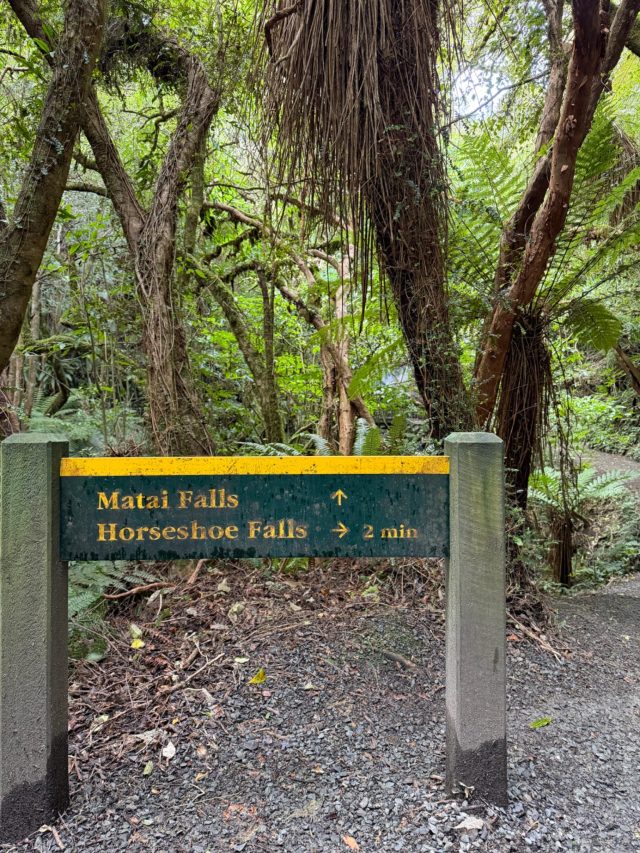 Hand-painted penguin stone #2344 hidden at Horseshoe Falls, Caberfeidh, New Zealand (photo 5 of 5)