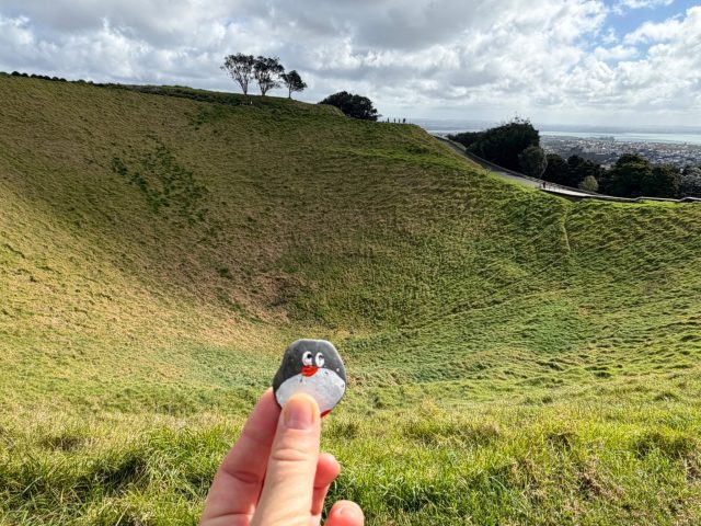 Hand-painted penguin stone #2345 hidden at Maungawhau / Mount Eden, Albert-Eden, Auckland, New Zealand (photo 5 of 5)