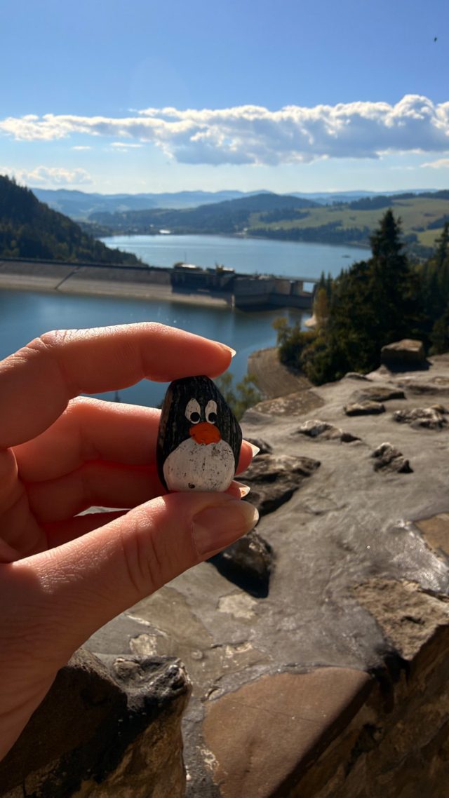 Hand-painted penguin stone #722 hidden at Upper Platform at Zamek Dunajec, Niedzica, Poland (photo 2 of 5)