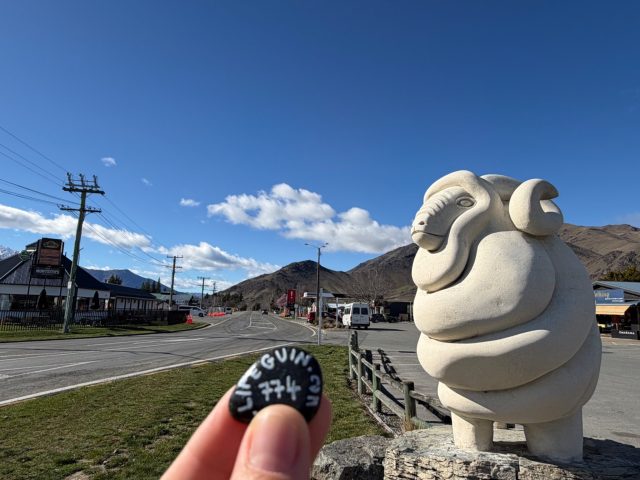 Hand-painted penguin stone #774 hidden at Merino Sheep Monument, Omarama, New Zealand (photo 2 of 5)