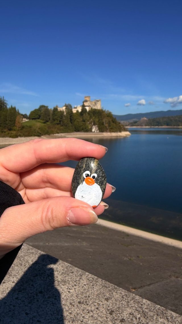 Hand-painted penguin stone #786 hidden at Elektrownia Wodna Niedzica, Niedzica, Poland (photo 3 of 5)