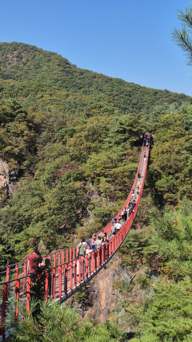 Hand-painted penguin stone #815 hidden at Gamaksan Suspension Bridge, Paku-si, South Korea (photo 2 of 4)
