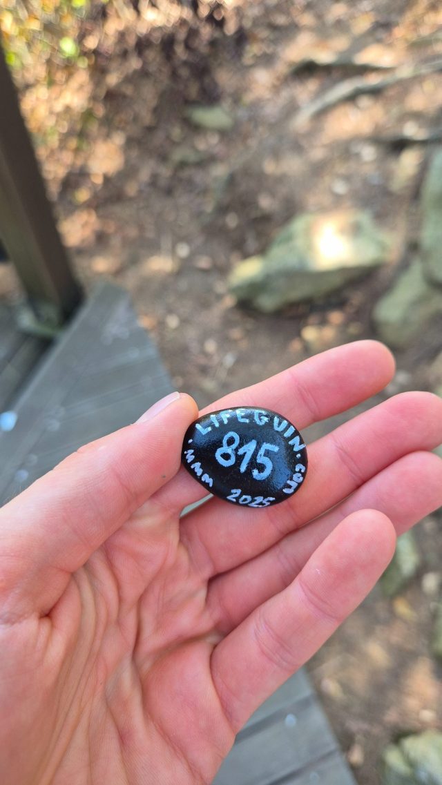 Hand-painted penguin stone #815 hidden at Gamaksan Suspension Bridge, Paku-si, South Korea (photo 4 of 4)